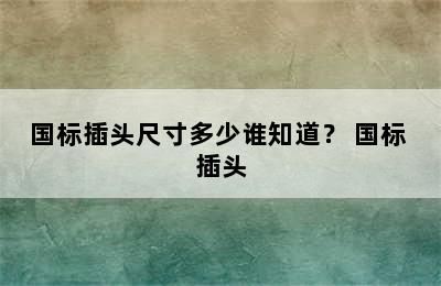 国标插头尺寸多少谁知道？ 国标 插头